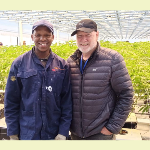 Image of the GM PUMP team with Cannabis deep water culture fertigation operation